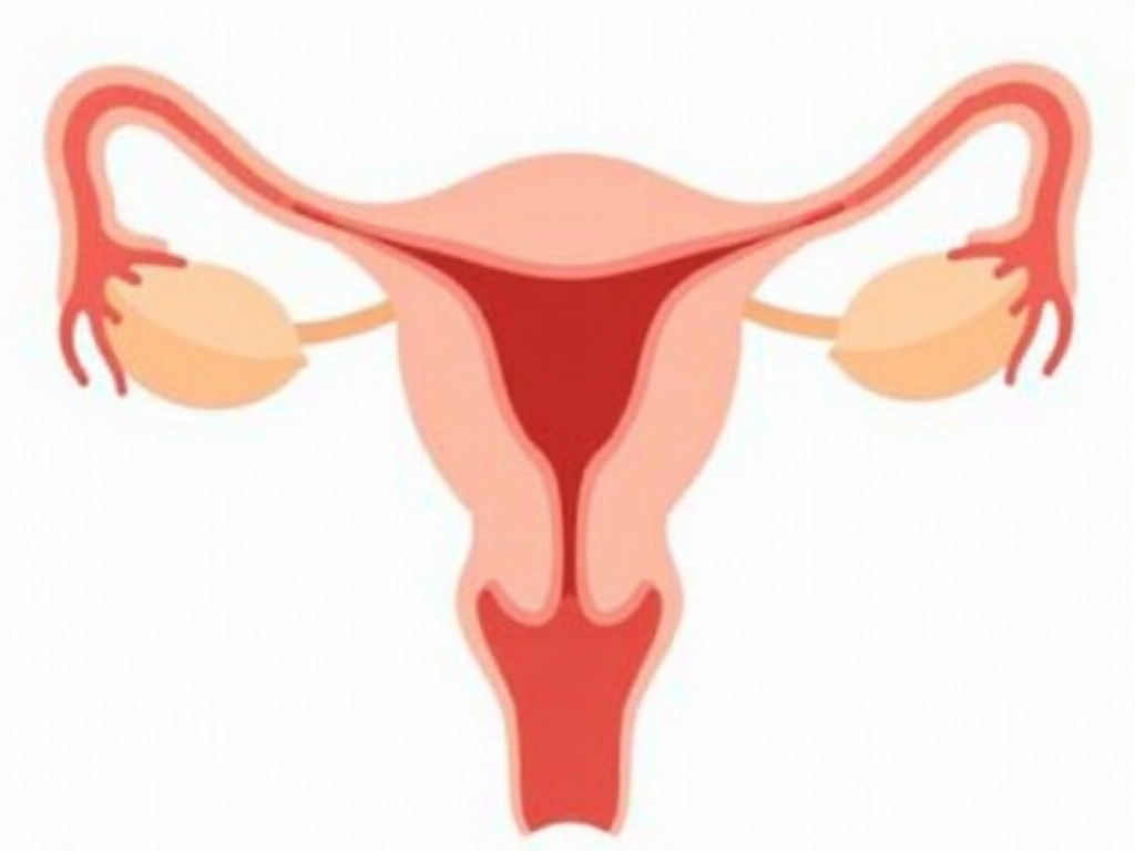 Understanding the Causes of Female Infertility: A Comprehensive Guide