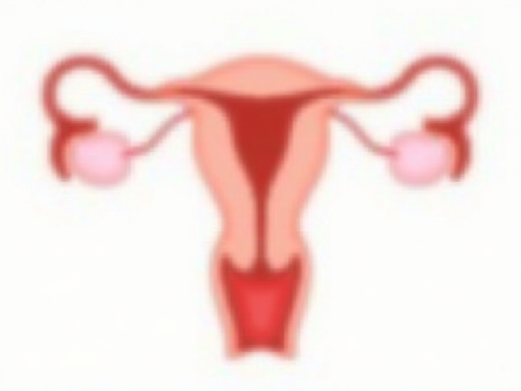 Diagram of the male reproductive system